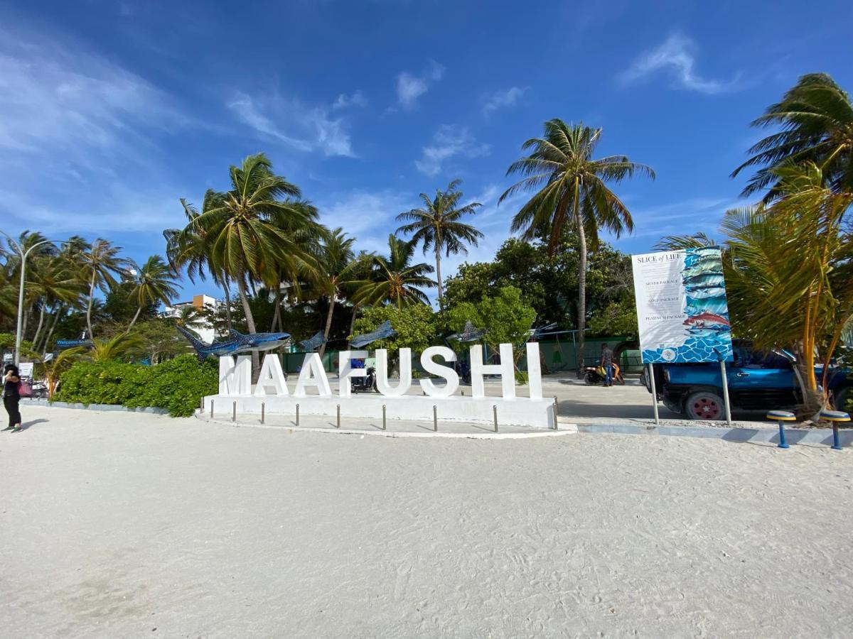 ホテル ペリカン ビーチ マーフシ エクステリア 写真